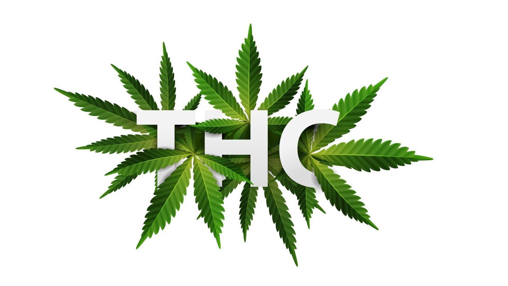 THC Official Store